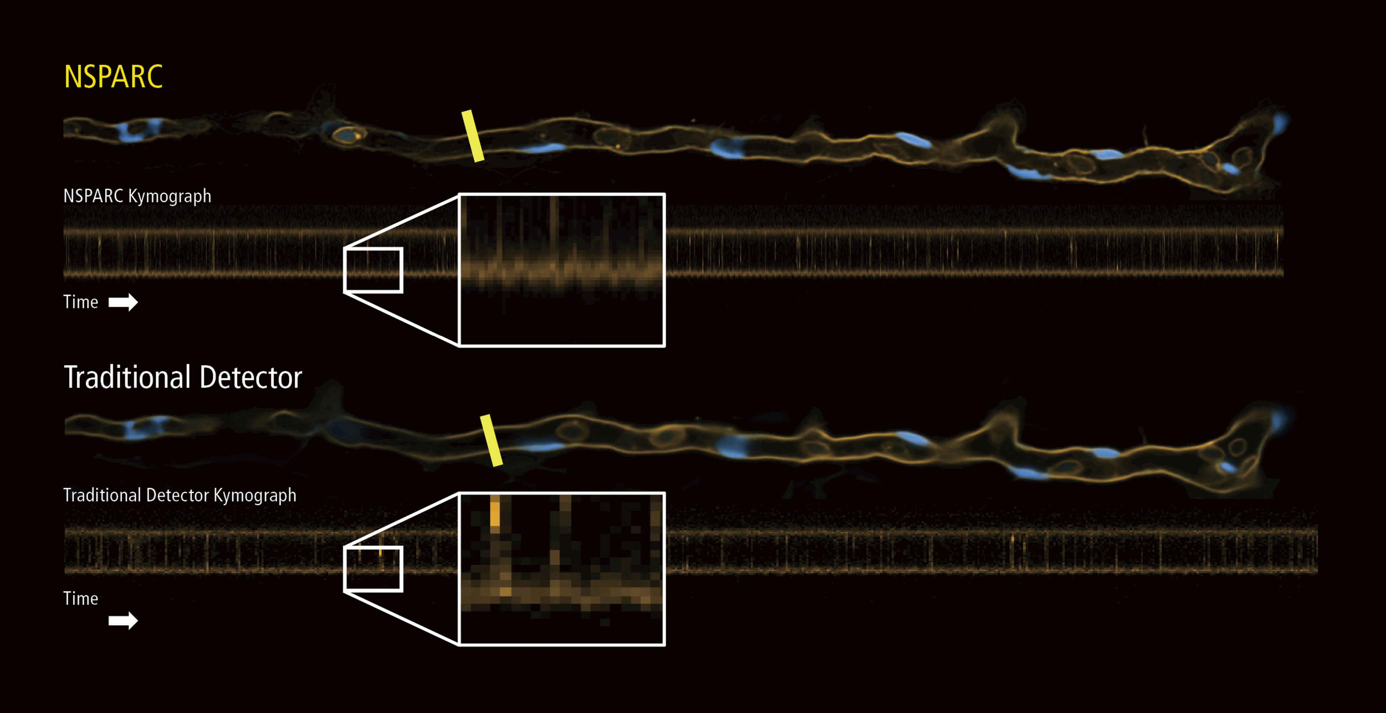 AX R NSPARC-2000_800_Page_1_Image_0007.jpg