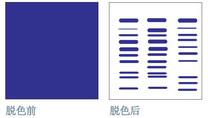 1741785915164072.png 7-2.png