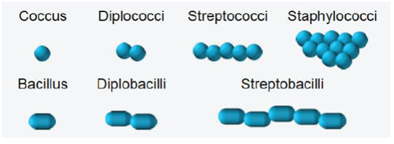 1742387078993266.png OD600-1.png