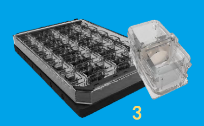 1753971863552425.png 2.png