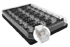 1753971878729221.png 5.png