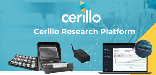 1753971922772944.png 11.png